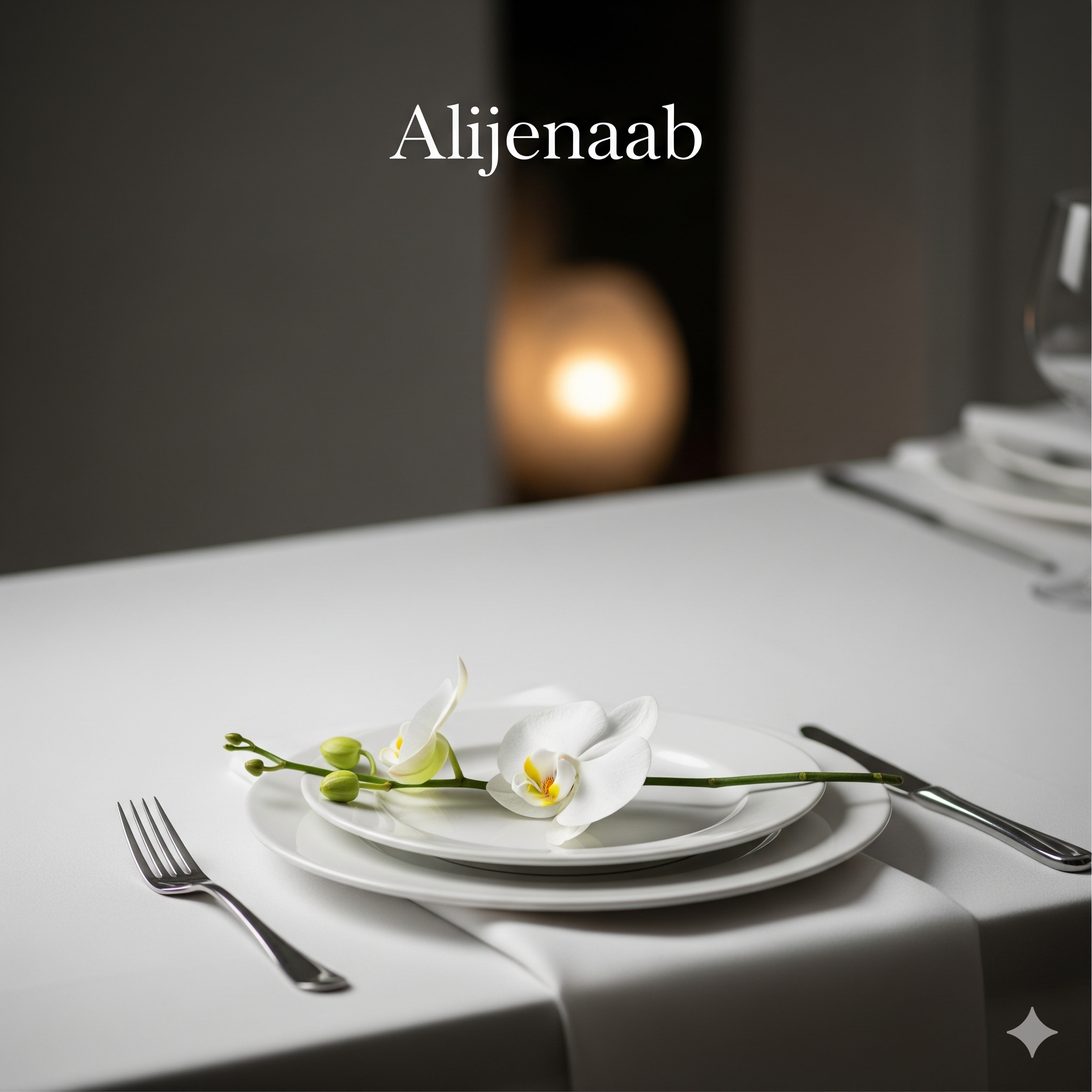 تیم حرفه‌ای کترینگ عالیجناب در آشپزخانه